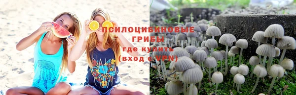 гашик Алексеевка