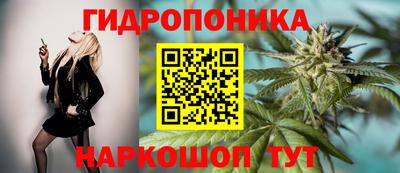 сатива Абинск
