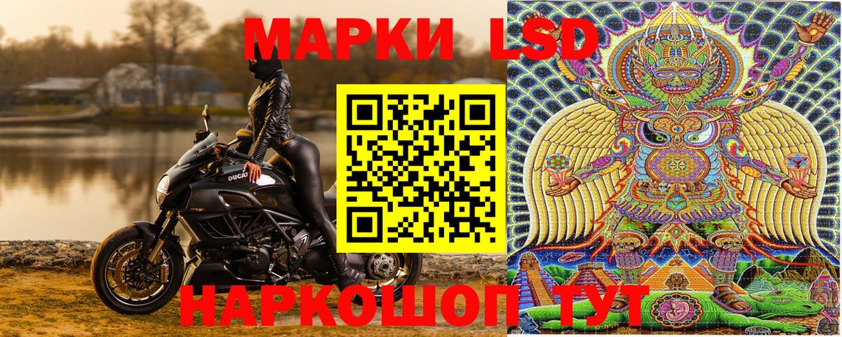 Наркотические марки 1500мкг  Вход с VPN  Наркотические марки 1500мкг  Лесной 